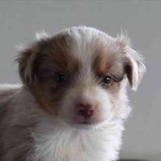 Fiona