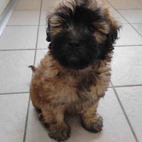 Leroy