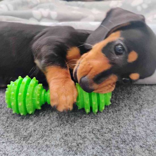 Scrump