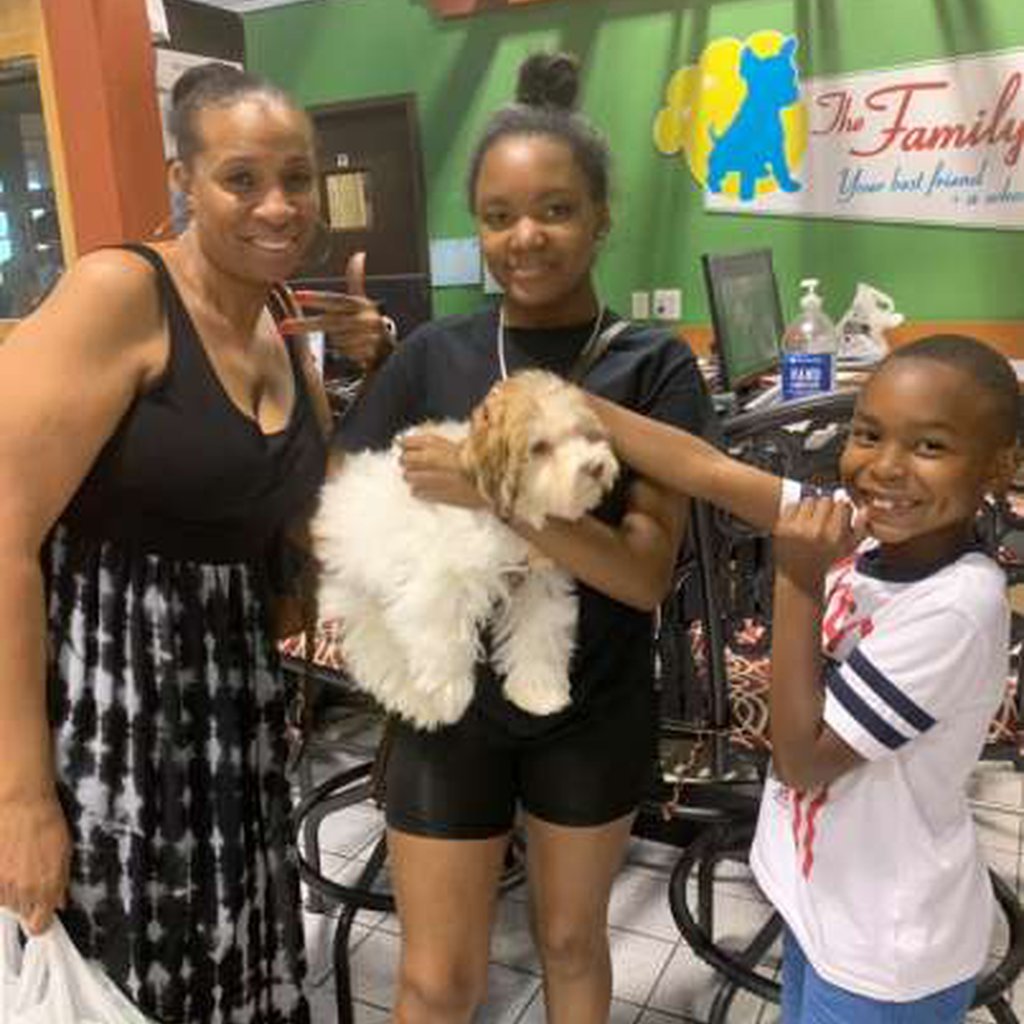 Three people holding a curly haired puppy.
